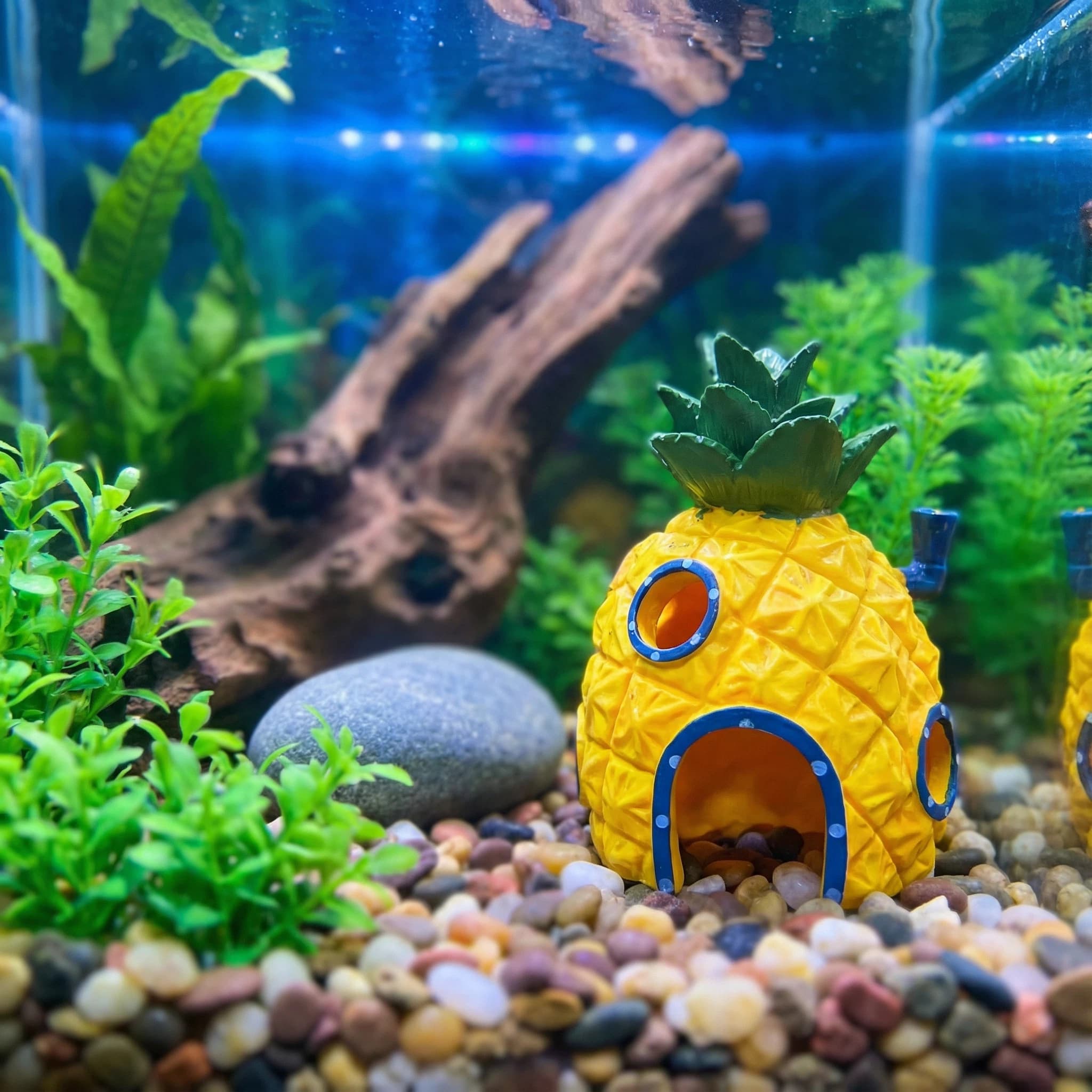 Aquarium Fish Hiding Places - Dekoracja akwariowa w kształcie ananasa, ekologiczna