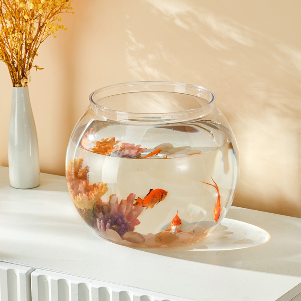 Akwarium Domowe Przezroczyste  – Live Fish Aquarium recenzja i cena