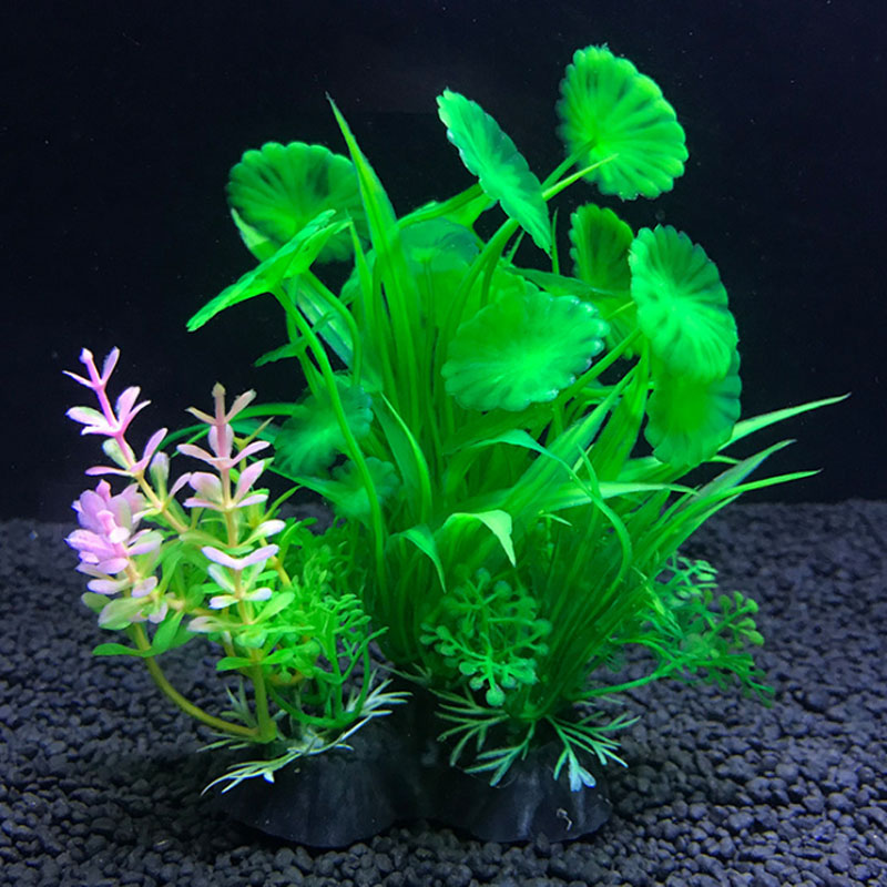Dekoracja akwarium różnorodnoś – Aquarium Fish Variety recenzja i cena