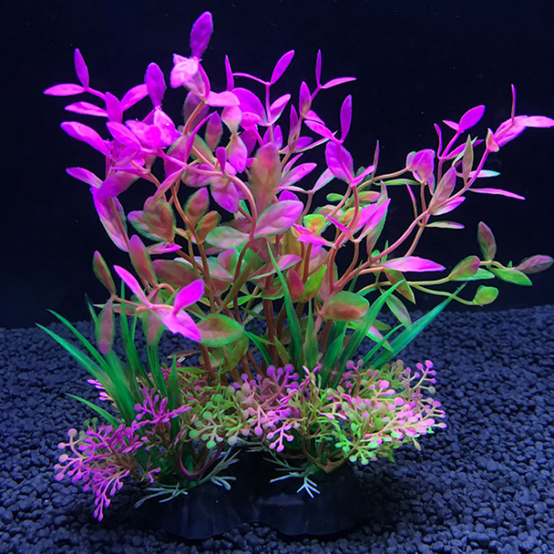 Dekoracja akwarium różnorodnoś – Aquarium Fish Variety recenzja i cena