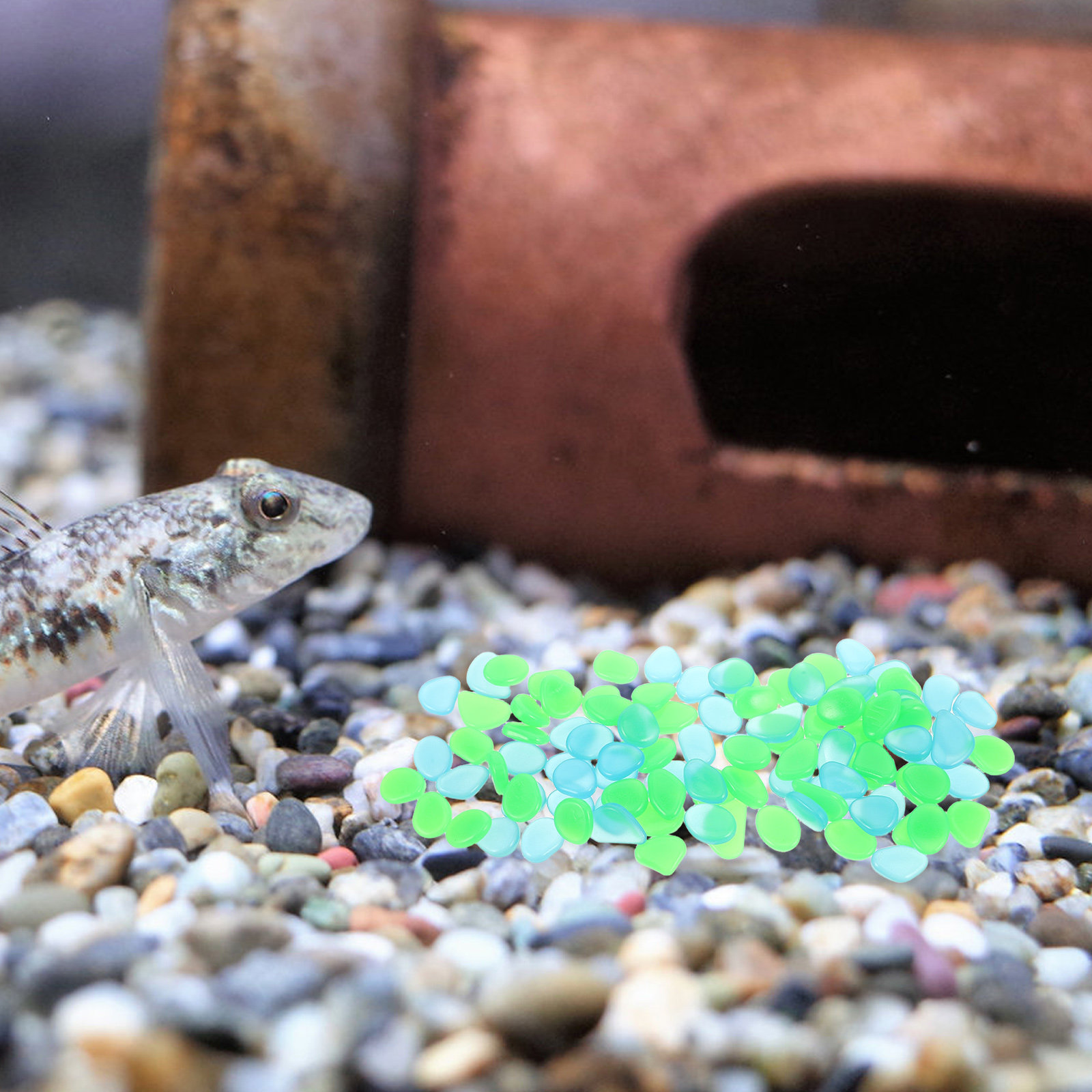 100 sztuk świecących w ciemnoś – Aquarium Decoration Rock recenzja i cena