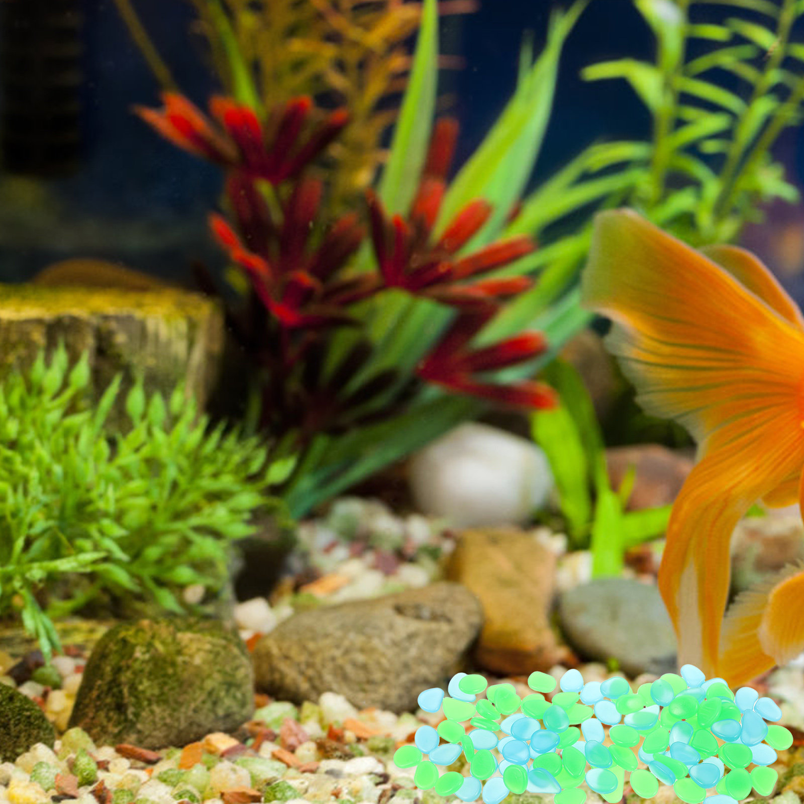 100 sztuk świecących w ciemnoś – Aquarium Decoration Rock recenzja i cena