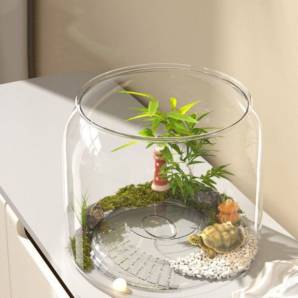 Przezroczyste Okrągłe Akwarium – Live Fish Aquarium recenzja i cena