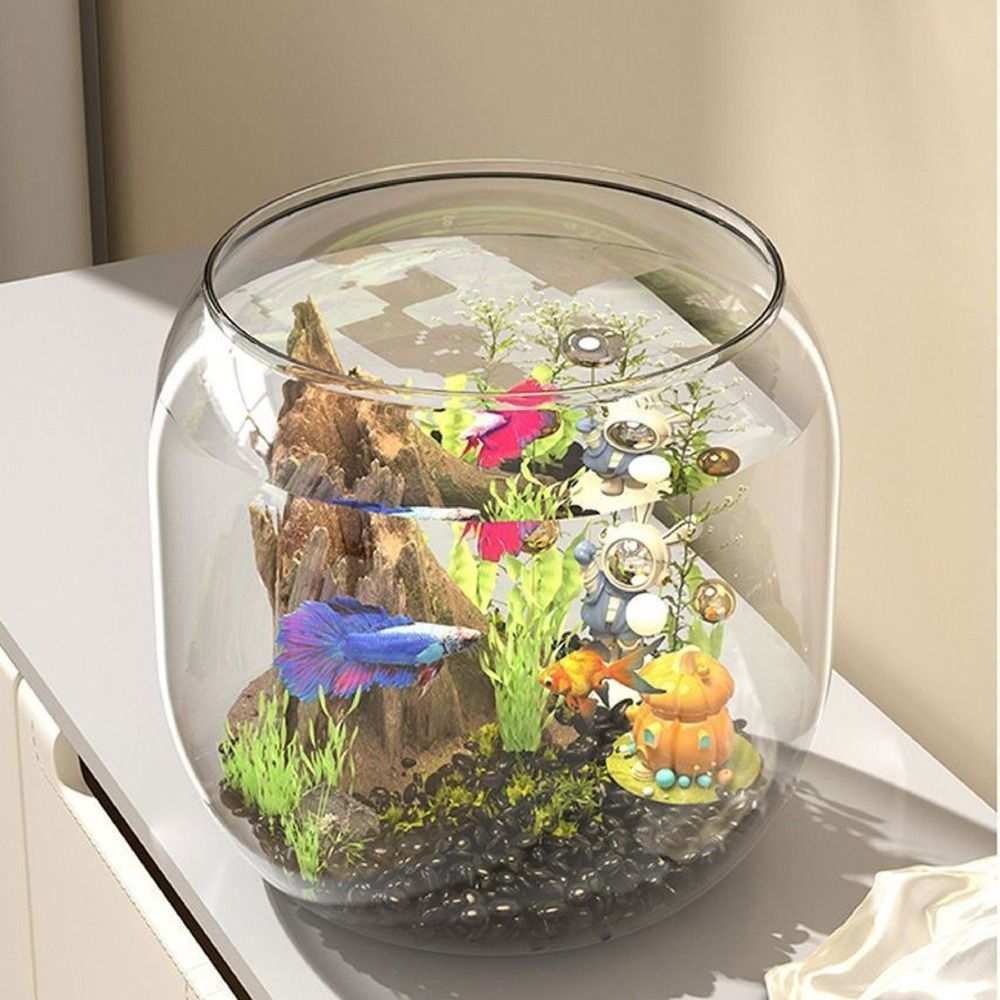 Przezroczyste Okrągłe Akwarium – Live Fish Aquarium recenzja i cena