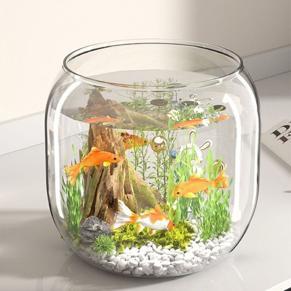 Przezroczyste Okrągłe Akwarium – Live Fish Aquarium recenzja i cena
