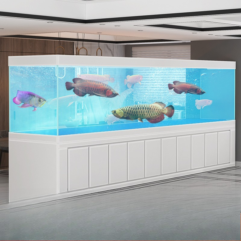 Duży akwarium Jinlong do salon – Aquarium Xxl recenzja i cena