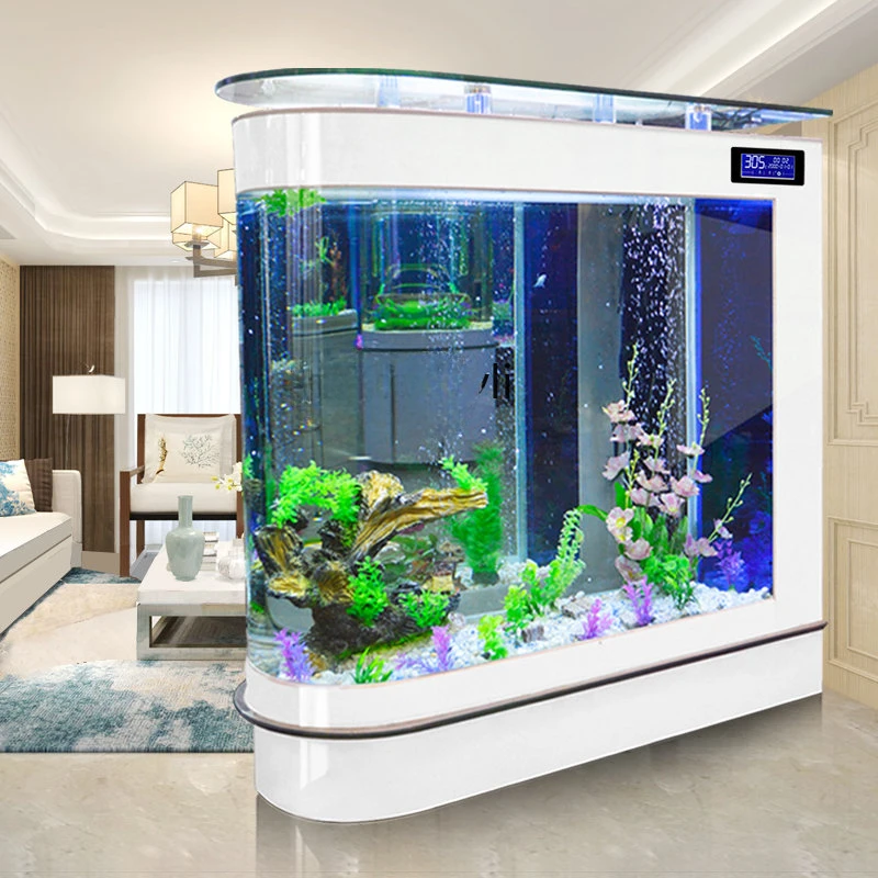 Akwarium w kształcie pocisku,  – Aquarium Xxl recenzja i cena