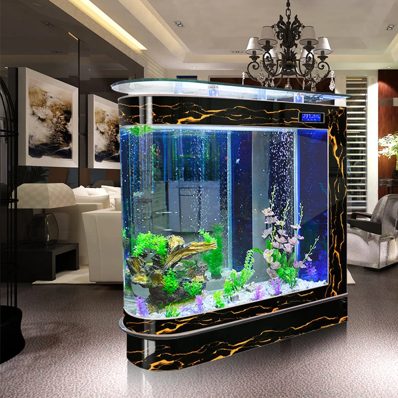 Akwarium w kształcie pocisku,  – Aquarium Xxl recenzja i cena