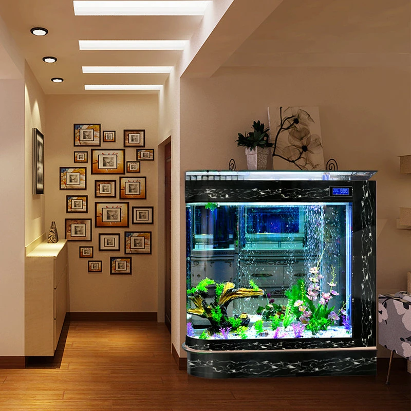 Akwarium w kształcie pocisku,  – Aquarium Xxl recenzja i cena