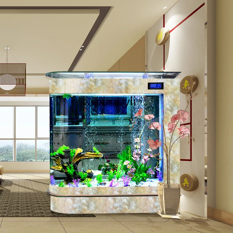 Akwarium w kształcie pocisku,  – Aquarium Xxl recenzja i cena