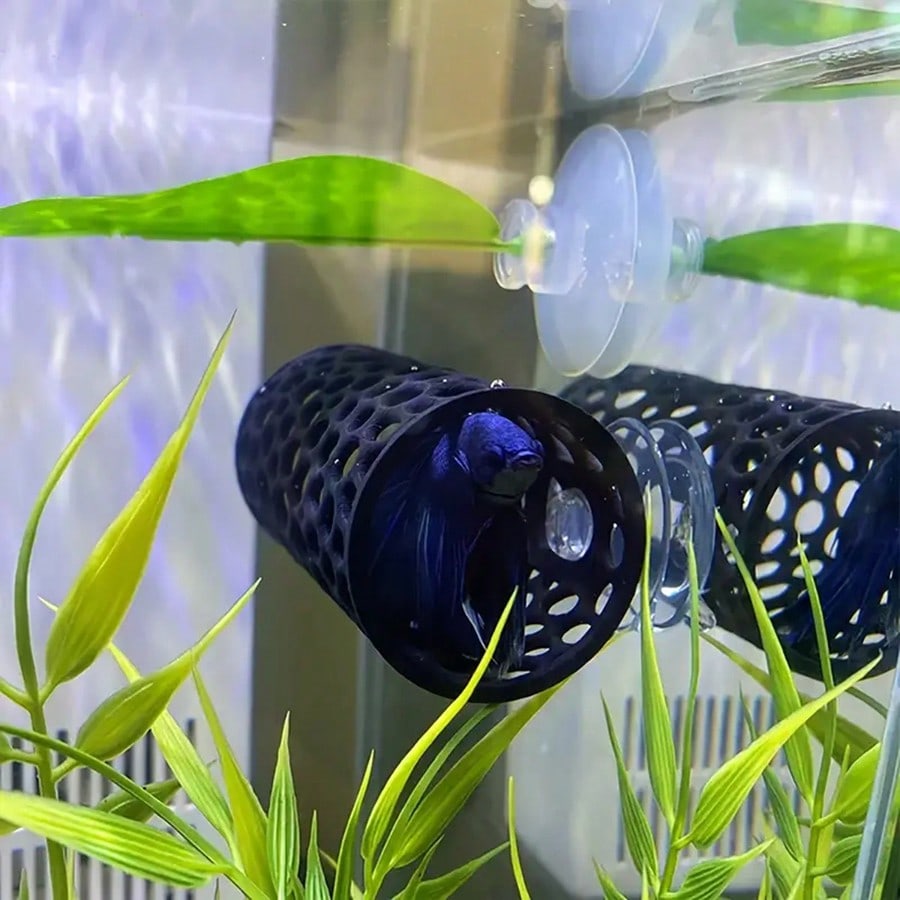 Kryjówka dla rybki Betta, pust – Aquarium Fish Hiding Places recenzja i cena
