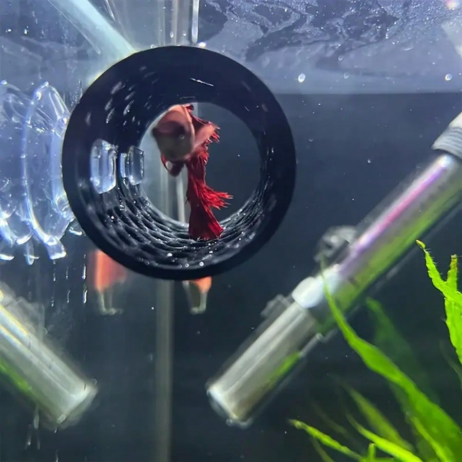 Kryjówka dla rybki Betta, pust – Aquarium Fish Hiding Places recenzja i cena