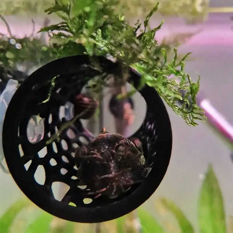 Kryjówka dla rybki Betta, pust – Aquarium Fish Hiding Places recenzja i cena