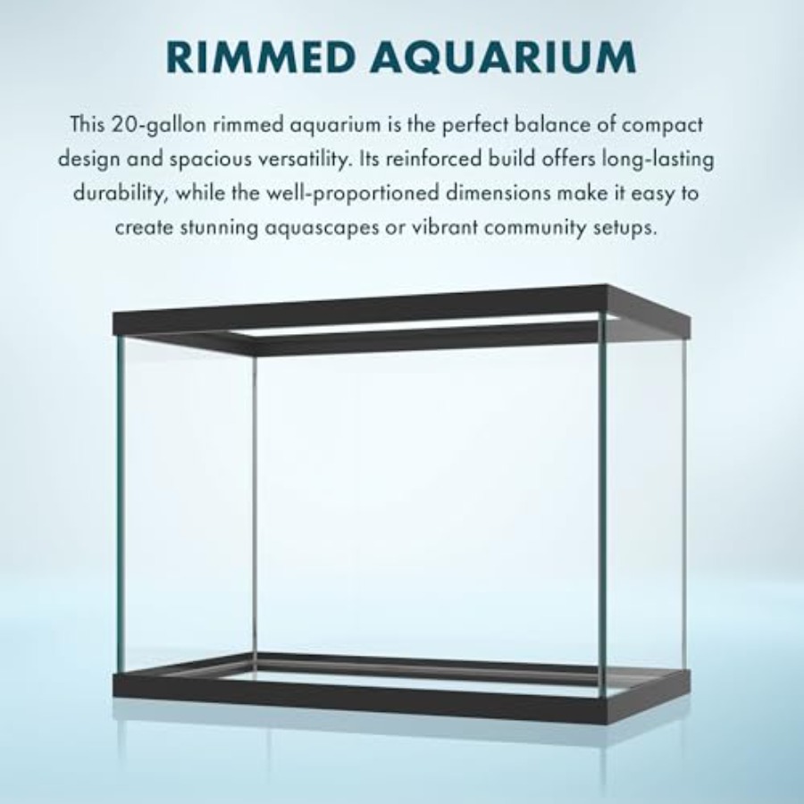Szklane akwarium o pojemności  – Aquarium Xxl recenzja i cena