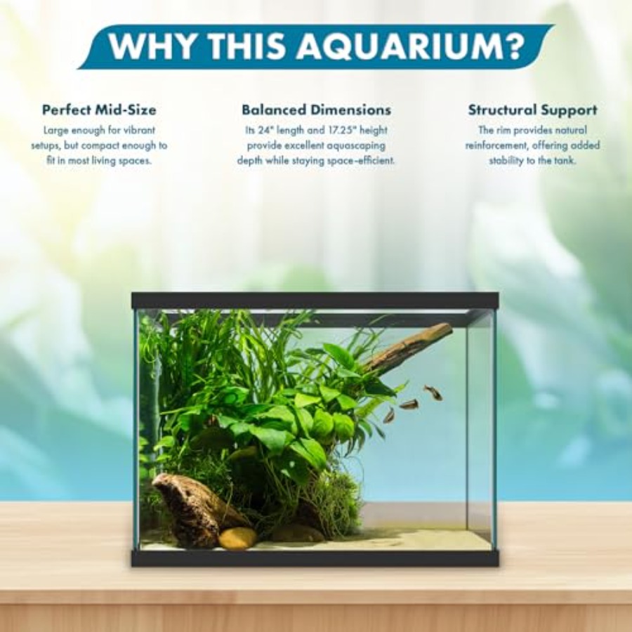 Szklane akwarium o pojemności  – Aquarium Xxl recenzja i cena