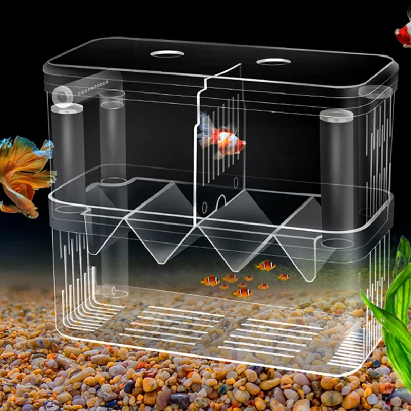 Pojemnik izolacyjny do hodowli – Xl Aquarium Fish recenzja i cena