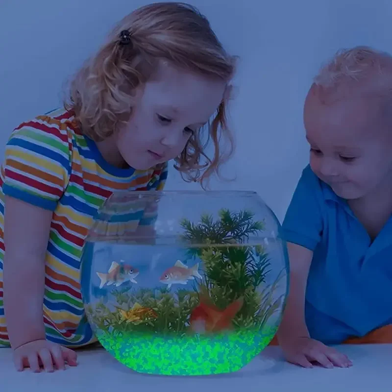 1000szt 3-5mm Świecący piasek  – Aquarium Decoration Rock recenzja i cena