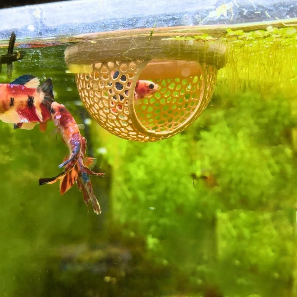 Akwarium Pływająca Jaskinia Kr – Aquarium Fish Hiding Places recenzja i cena