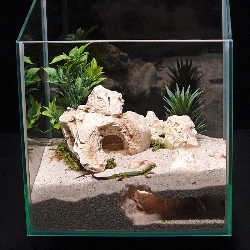 Drukowane w 3D tunelowe schron – Aquarium Fish Hiding Places recenzja i cena