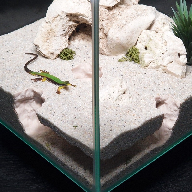 Drukowane w 3D tunelowe schron – Aquarium Fish Hiding Places recenzja i cena