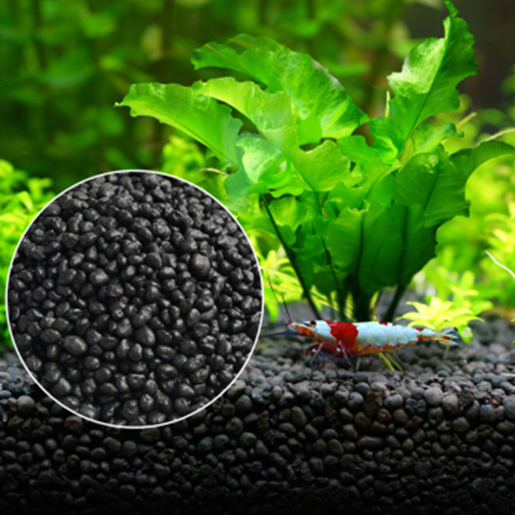 Roślina akwariowa nasiona gleb – Aquarium Fish Breeding recenzja i cena