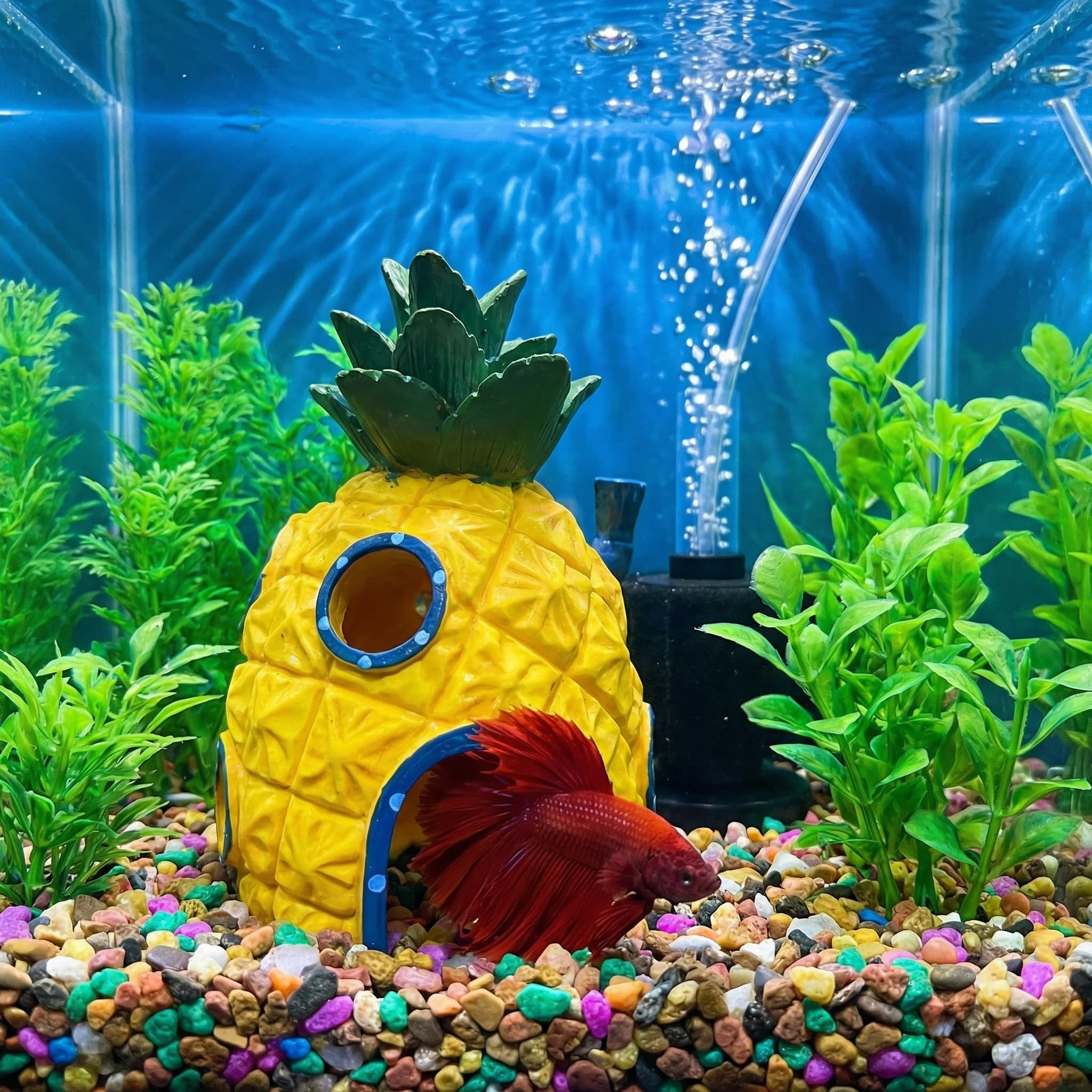 Dekoracja akwariowa w kształci – Aquarium Fish Hiding Places recenzja i cena