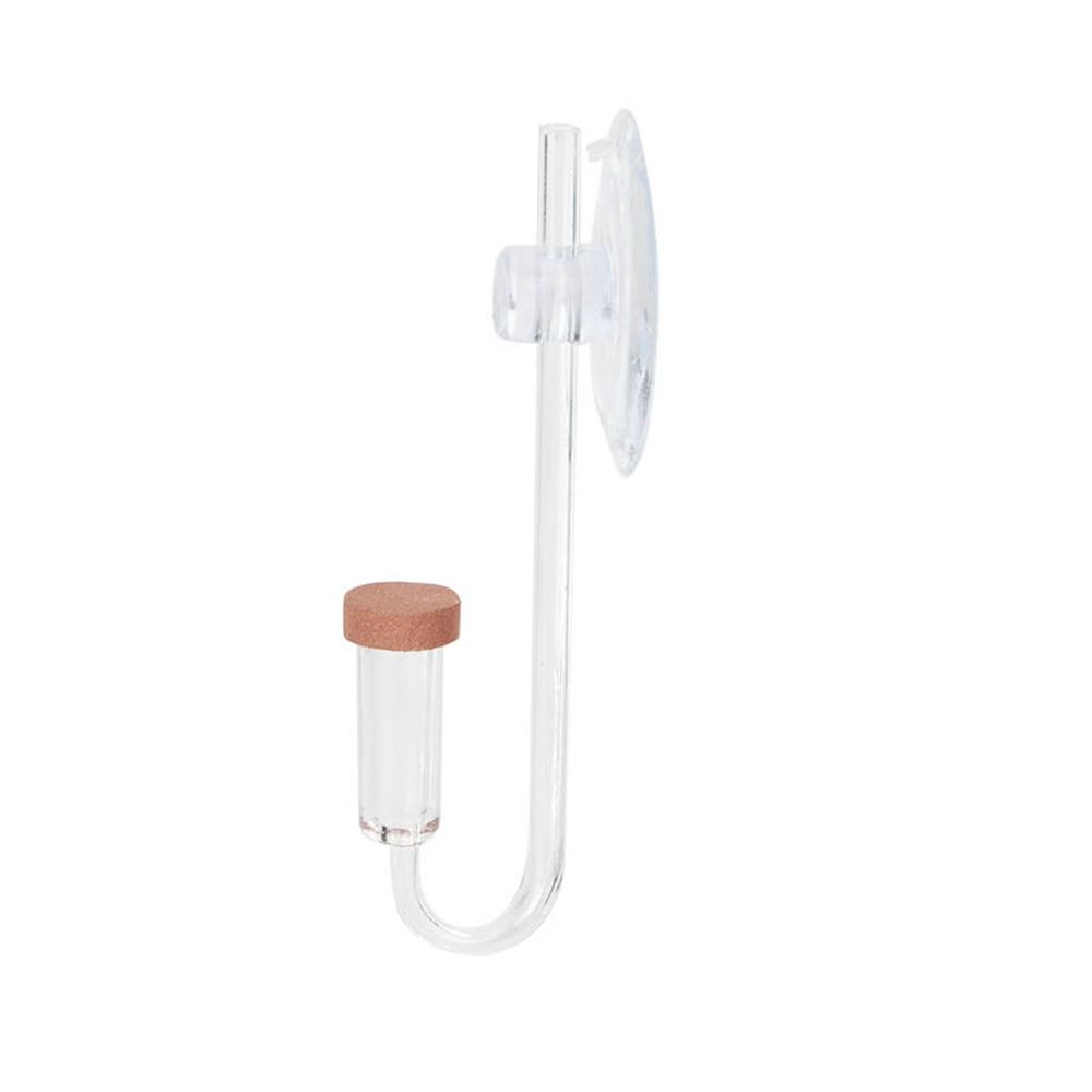 Akrylowy Mini Akwarium Rośliny – Live Fish Aquarium recenzja i cena