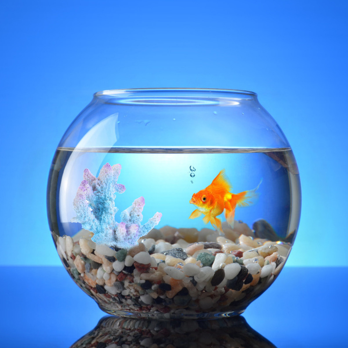 Xl-S1718 Realistyczna ozdoba a – Xl Aquarium Fish recenzja i cena