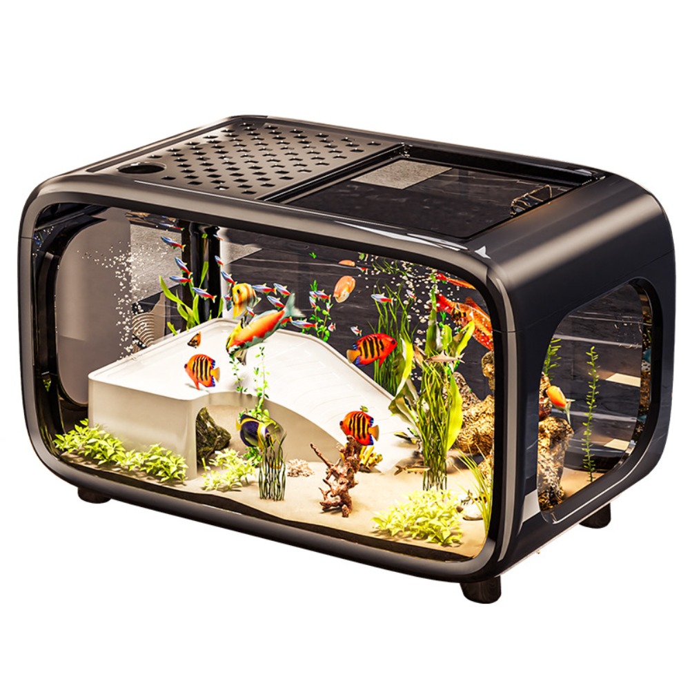 Kreatywne, przezroczyste, ekol – Live Fish Aquarium recenzja i cena