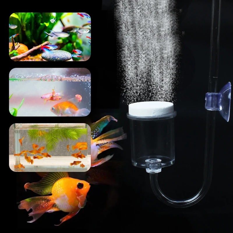 4szt Zestaw DIY Dyfuzor CO2 do – Live Fish Aquarium recenzja i cena